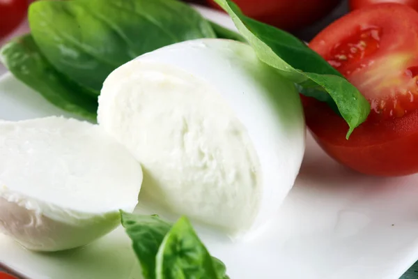 Mozzarella Comida Italiana Tradicional Bola Branca Mussarela Búfalo Queijo Macio — Fotografia de Stock