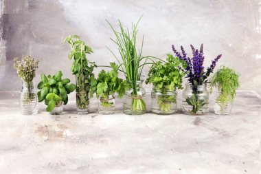 Kırsal bir zeminde çeşitli taze bitkiler ve bardaklar. Fesleğen, adaçayı, kekik, kekik, dereotu, soğan, maydanoz ve kişniş..