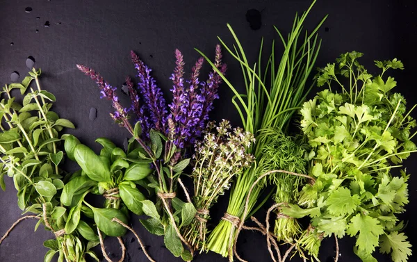 各种新鲜的香草放在乡村的背景上 鼠尾草 百里香 欧芹和香菜 — 图库照片