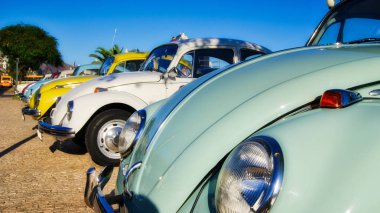 Gaziler bir toplantıda Madeira Adalarında beetle.