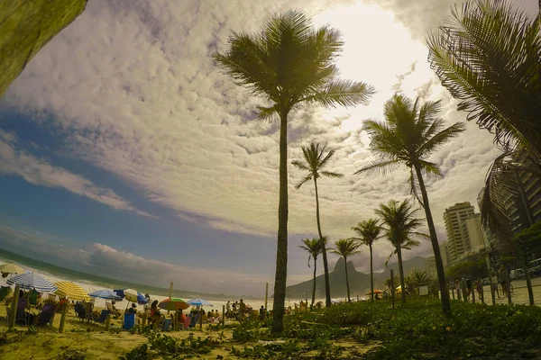 Widok Wysokie Palmy Słoneczny Piasku Nad Morzem — Zdjęcie stockowe