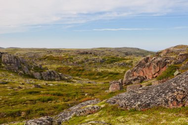 Tundra manzara. Kola Yarımadası, Murmansk bölgesi, Rusya Federasyonu