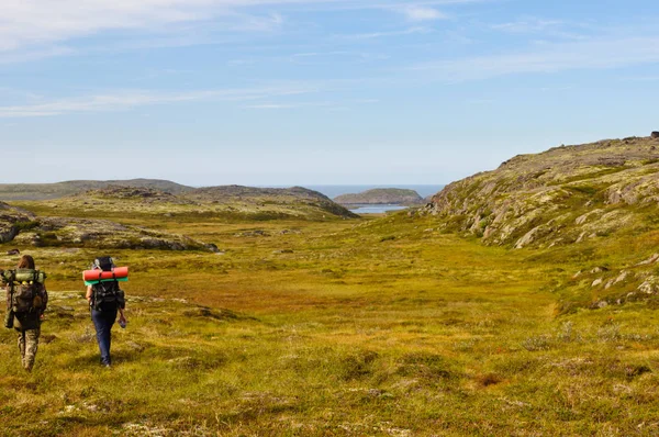 Tourists with heavy backpacks hiking in tundra. Kola Peninsula, Russia