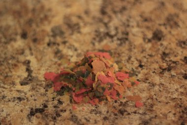 tropikal balık pul güzel bir arka plan üzerinde