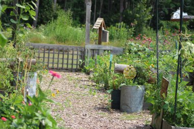 Bağlantı noktası Franks Ontario Kanada'da korunur bir topluluk bahçe. 