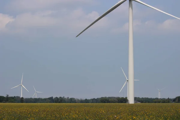 Windmills Corn Field Highway — Stock Photo, Image