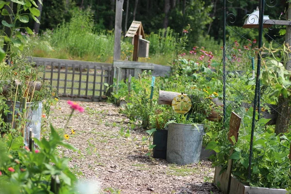 Ein Gemeinschaftsgarten Der Port Franks Ontario Canada Gepflegt Wird — Stockfoto