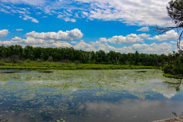 Vackert Landskap Med Flod Och Blå Himmel — Stockfoto