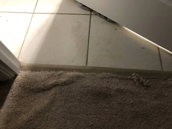 Ripped carpet by the bathroom from dog clawing at it — 스톡 사진