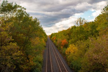 Ağustosta Adirondack Tren Yolları. Adirondack Treni geliyor. Doğa, yaz, dağlar