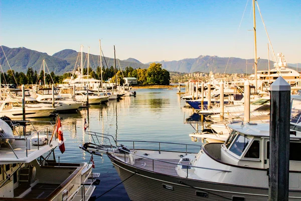 18 juin 2018, Vancouver Canada, Photo éditoriale de faux quai du ruisseau montrant les magnifiques bateaux amarrés . — Photo