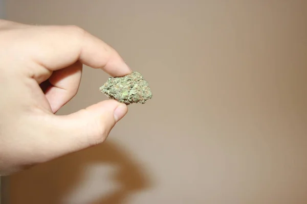 Hand hält Cannabis-Knospe gegen Spur und blauen Himmel - medizinisches Marihuana-Konzept — Stockfoto
