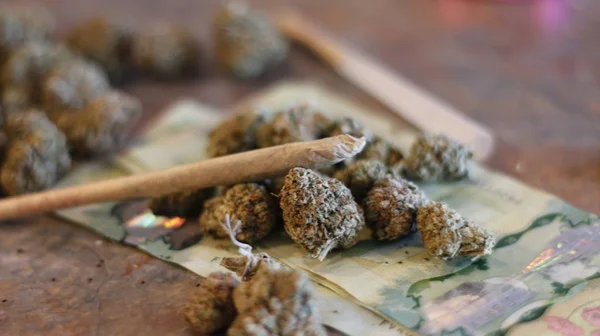 Marijuana conjunta em cima de botões de maconha e notas canadenses de vinte dólares — Fotografia de Stock