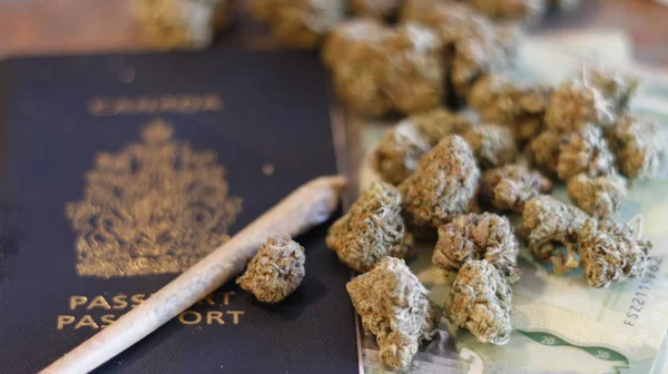 Canadian passport with marijuana, money, and joint near it. theme of marijuana legalization
