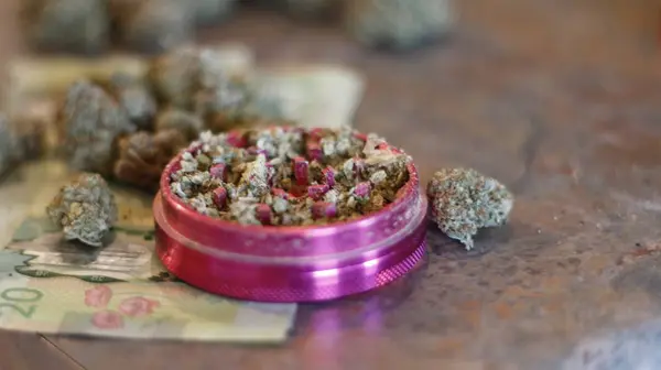 Marihuanové pupeny se šíří po kanadských penězích — Stock fotografie