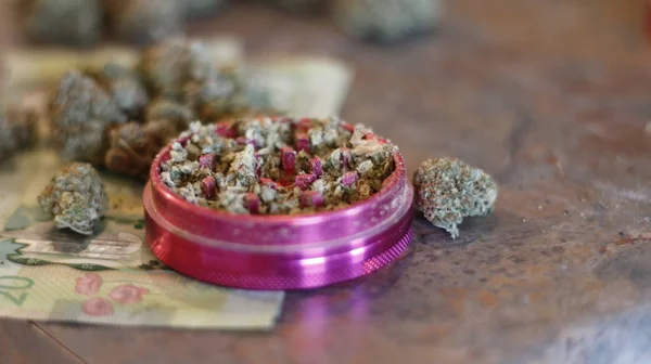 Почки марихуаны распространились по канадским деньгам — стоковое фото