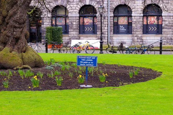 Jardim no pátio da Trinity University College Dublin — Fotografia de Stock