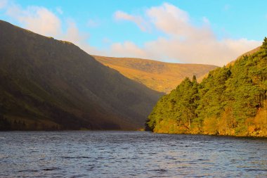 Guinness Lake, Wicklow Mountains, Ireland, Nature, Flowers, Sunny Day, Blue Sky, Sun