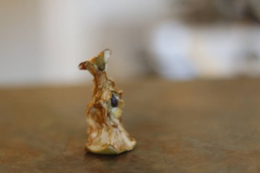 Biraz çürümüş bir elma çekirdeği.