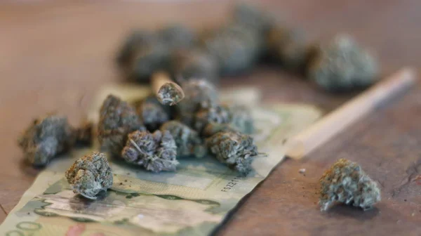 Μαριχουάνα μπουμπούκια εξαπλωθεί σε καναδικό χρήμα — Φωτογραφία Αρχείου