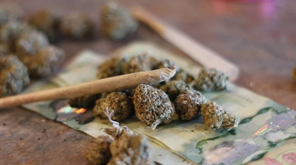 Marihuana conjunta en la parte superior de los brotes de marihuana y billetes canadienses de veinte dólares —  Fotos de Stock