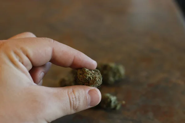 Segurando um grande botão de maconha — Fotografia de Stock