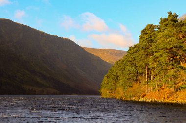 Guinness Lake, Wicklow Mountains, Ireland, Nature, Flowers, Sunny Day, Blue Sky, Sun