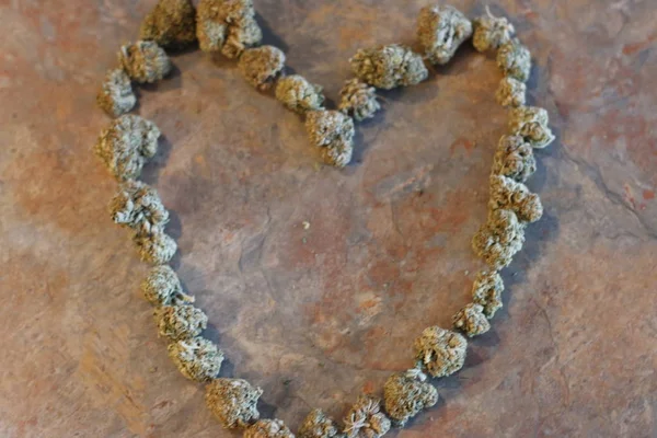 La forma de un corazón hecho de cogollos de cannabis —  Fotos de Stock