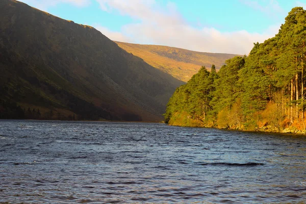 Guinness Lake, Wicklow Mountains, Ireland, Nature, Flowers, Sunny Day, Blue Sky, Sun — ストック写真