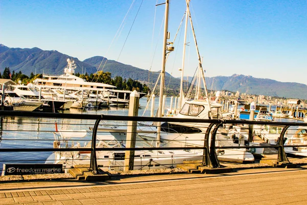 18 juin 2018, Vancouver Canada, Photo éditoriale de faux quai du ruisseau montrant les magnifiques bateaux amarrés . — Photo