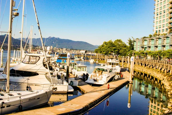 18 Junho 2018, Vancouver Canadá, Foto editorial da doca de falso riacho mostrando os magníficos barcos que estão atracados . — Fotografia de Stock