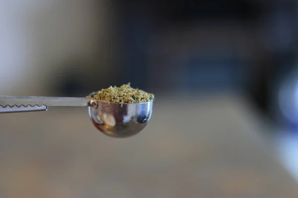 Medição Maconha Cânhamo Para Cozinhar — Fotografia de Stock