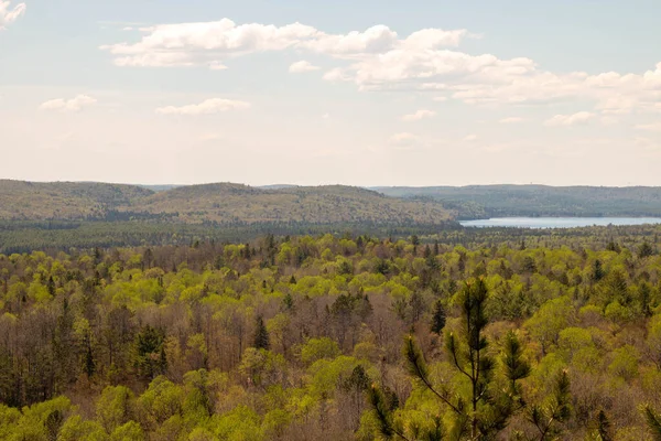 Trilha Algonquin Park Ontário Canadá — Fotografia de Stock