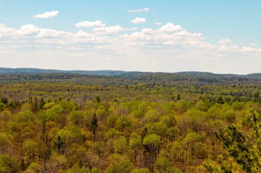 Algonquin Park, Ontario, Kanada 'da patika
