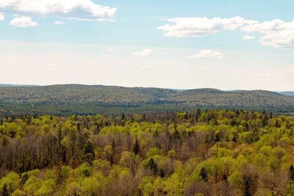 Sendero Algonquin Park Ontario Canadá —  Fotos de Stock