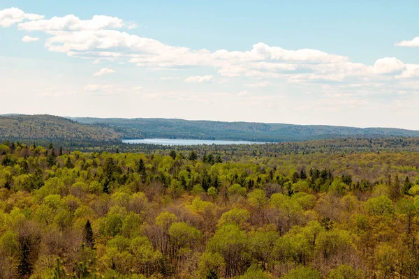 Sendero Algonquin Park Ontario Canadá —  Fotos de Stock