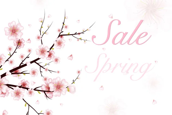 Fondo de primavera. Ilustración vectorial de la rama de primavera con flores rosadas, brotes, pétalos que caen. Diseño realista aislado sobre fondo blanco. Ramita de cerezo floreciente . — Vector de stock
