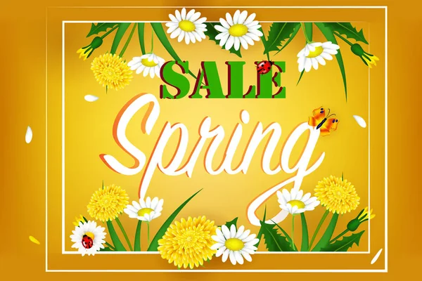 Fresh spring background with grass, dandelions and daisies. Design banner with spring is here logo. Card for spring season. Design Template for banner, flyers, invitation, poster, brochure.
