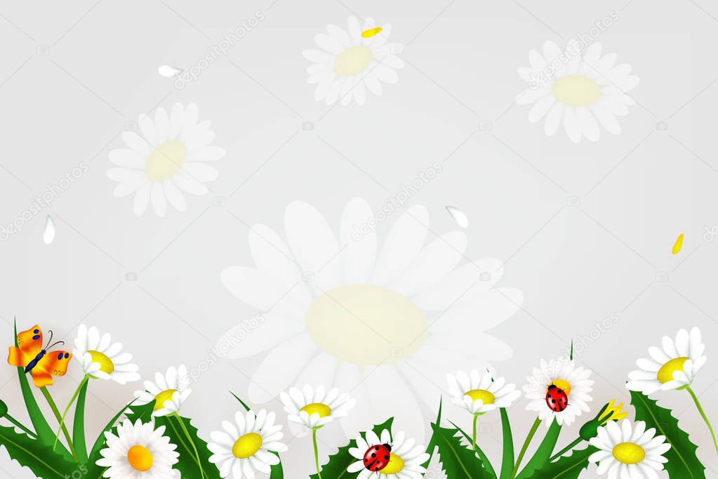Fresh spring background with grass, dandelions and daisies. Design banner with spring is here logo. Card for spring season. Design Template for banner, flyers, invitation, poster.