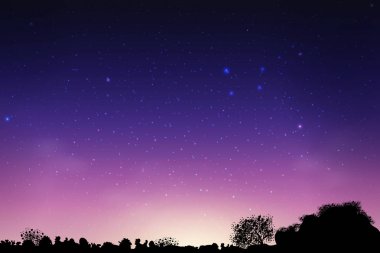 Mavi karanlık gece gökyüzünde birçok yıldız alan ağaçların yukarıda. Samanyolu kainatın arka plan. Uzay manzara.