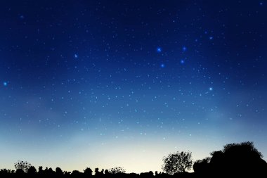 Mavi karanlık gece gökyüzünde birçok yıldız alan ağaçların yukarıda. Samanyolu kainatın arka plan. Uzay manzara.