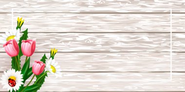 Sakura 'lı bahar kartı, çiçek açan dal ve ahşap arka planda çimenler.. 