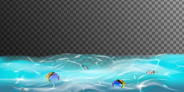 Transparent undervattensblå hav bakgrund med havsfisk. — Stock vektor