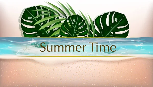 Design della carta estiva. Foglie esotiche di palma tropicale. Invito, poster, modello di copertina . — Vettoriale Stock