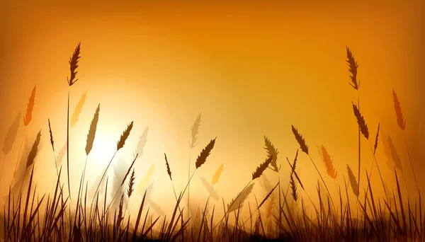 Rayos Naranjas Realistas Del Amanecer Del Sol Deslumbramiento Fondo Natural — Archivo Imágenes Vectoriales