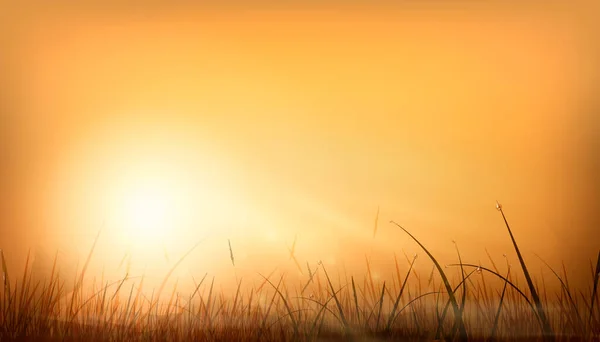 现实的橙色黎明的阳光和天然背景的光芒笼罩在一片草地上 日落天空背景设计 — 图库矢量图片