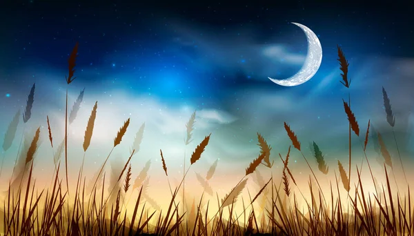 一連の輝く星 芝生の上の自然の背景雲と青い夜空 — ストックベクタ