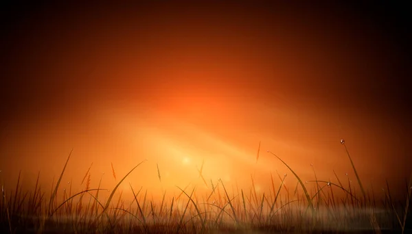 Rayos naranjas realistas del amanecer del sol y deslumbramiento de un fondo natural sobre un campo de hierba . — Vector de stock