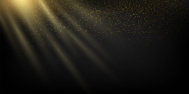 Vektör şeffaf güneş ışığı özel lens ışığı efekti. Ön güneş lensi parlıyor. 