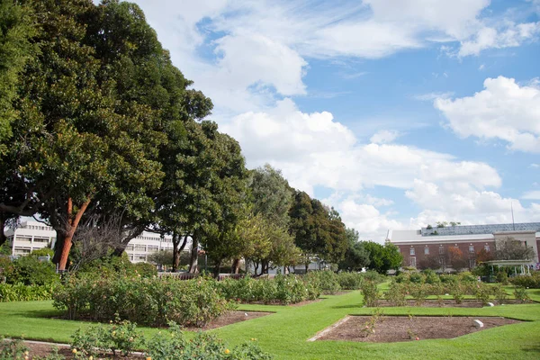 Centro de Parque en día soleado con nubes —  Fotos de Stock